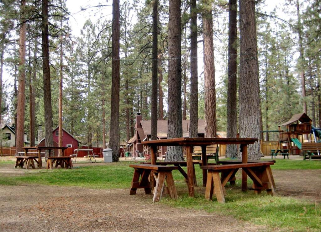 Majestic Moose Lodge - Coptic Village Big Bear Lake Buitenkant foto