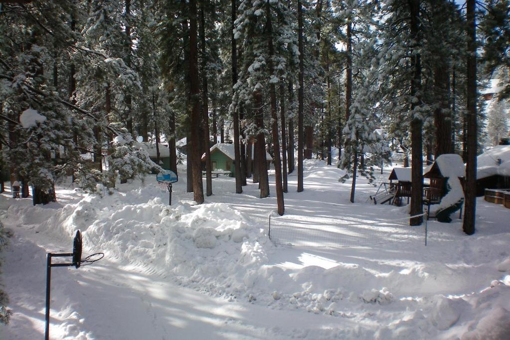 Majestic Moose Lodge - Coptic Village Big Bear Lake Buitenkant foto